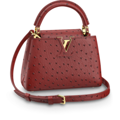 Louis Vuitton Capucines Mini