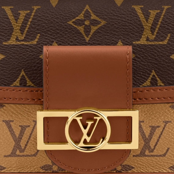 Louis Vuitton  Dauphine Chain Wallet