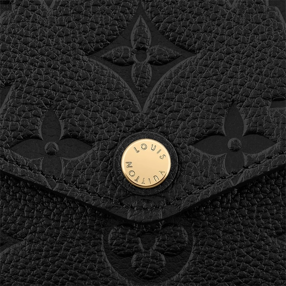 Louis Vuitton  Felicie Pochette