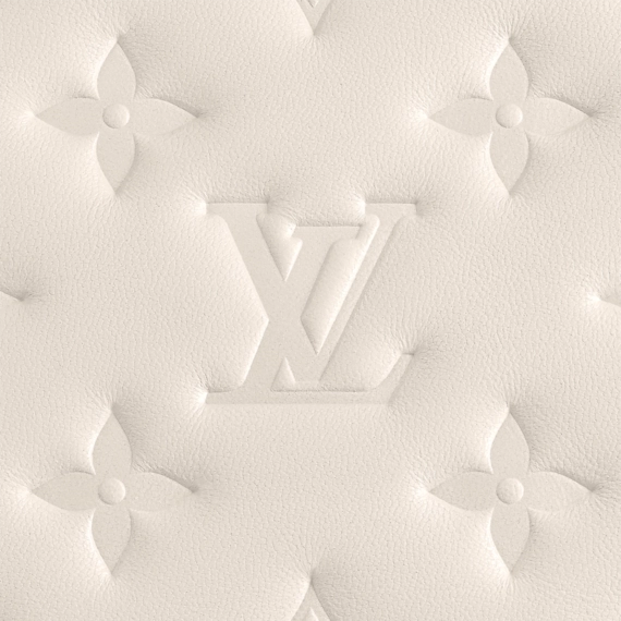 Louis Vuitton  Coussin PM