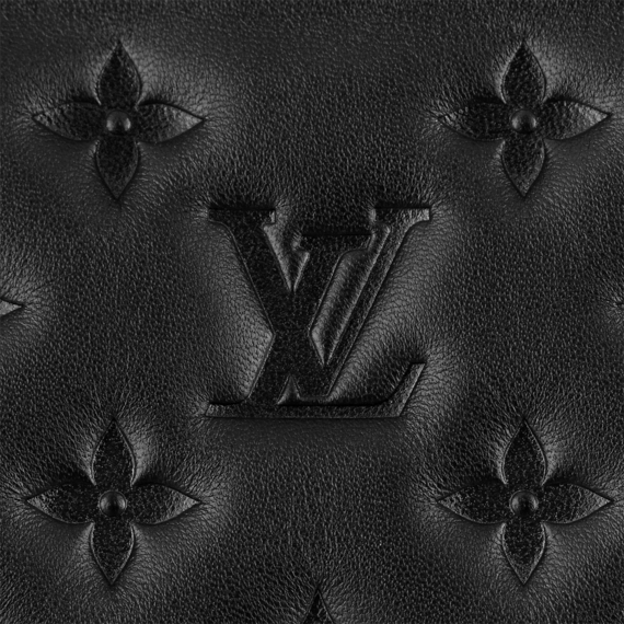 Louis Vuitton  Coussin BB