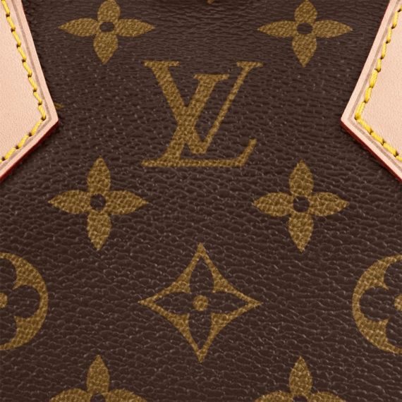 Louis Vuitton Speedy Bandouliere 20