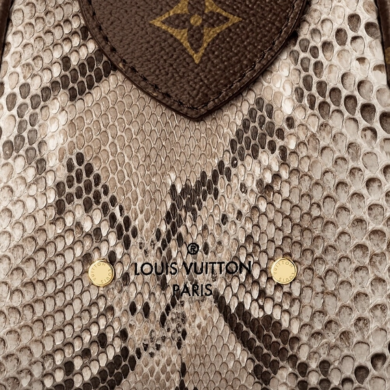 Louis Vuitton Manhattan MM