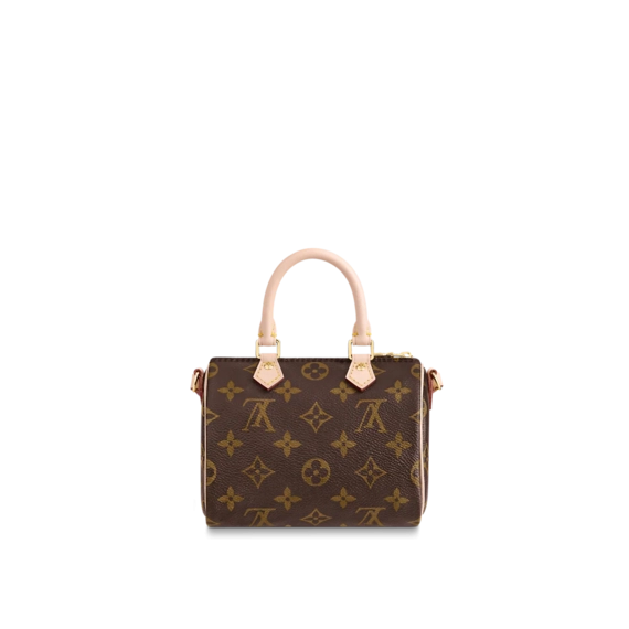 Louis Vuitton Nano Speedy