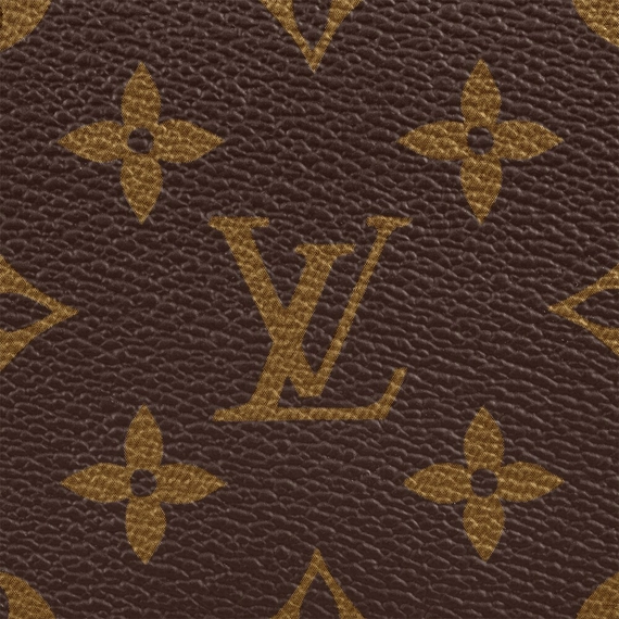 Louis Vuitton Speedy Bandouliere 25