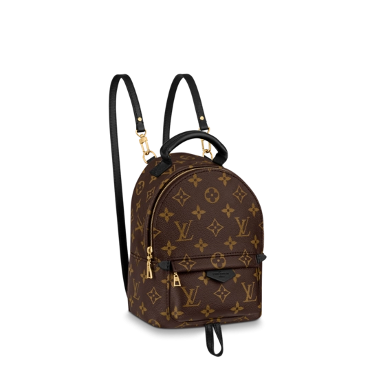 Louis Vuitton Palm Springs Mini