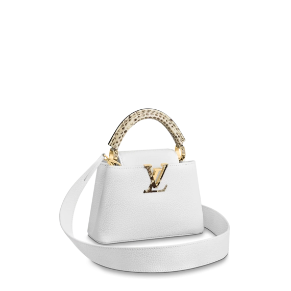 Louis Vuitton Capucines Mini