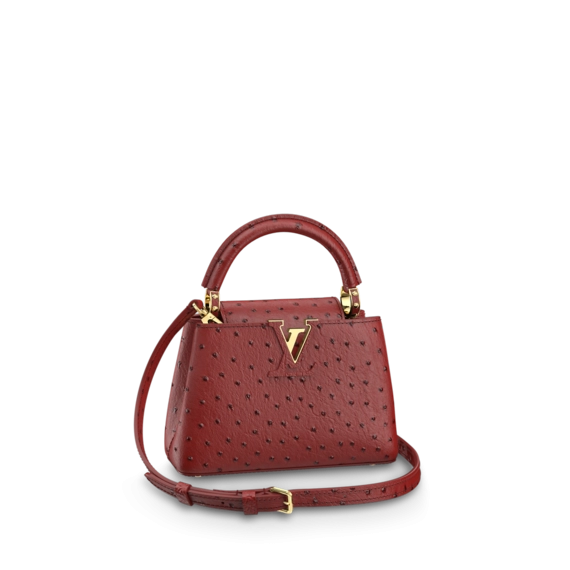 Louis Vuitton Capucines Mini