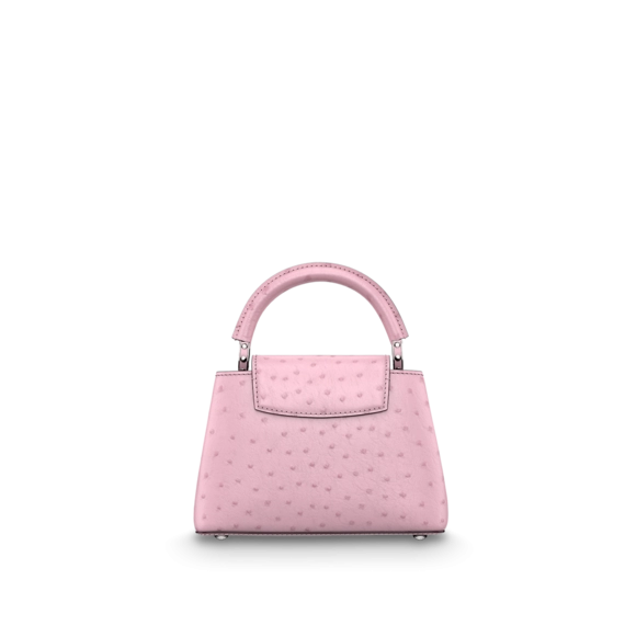 Louis Vuitton Capucines Mini