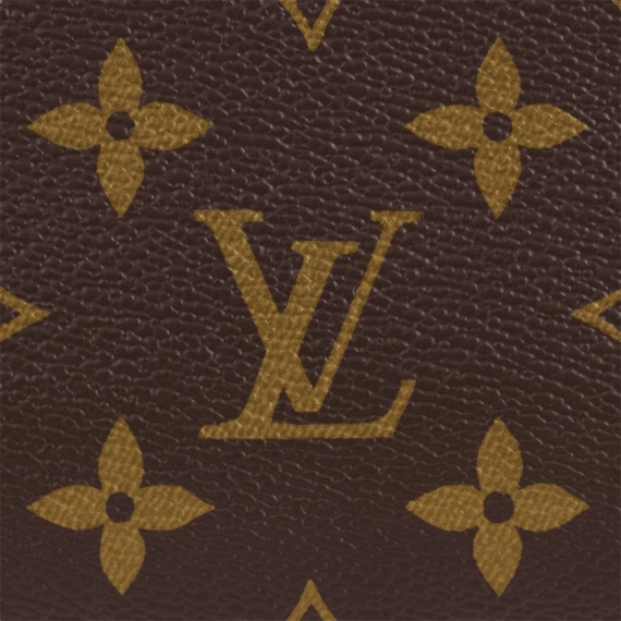 Louis Vuitton Cite bag Gold