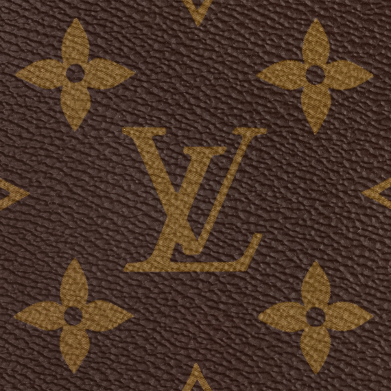 Louis Vuitton CarryAll MM