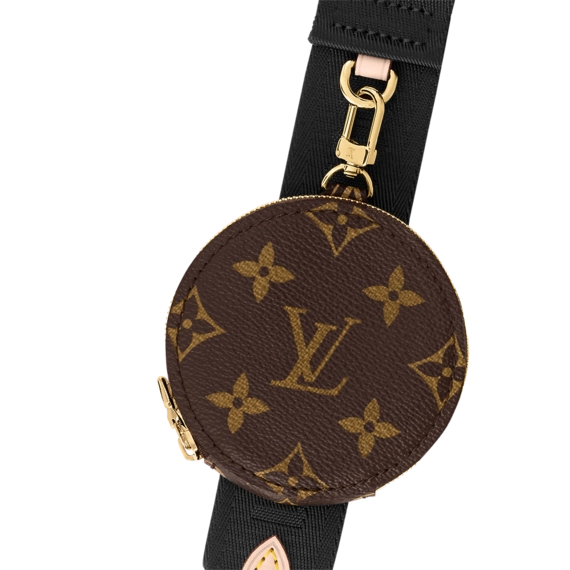 Louis Vuitton Bandoulière