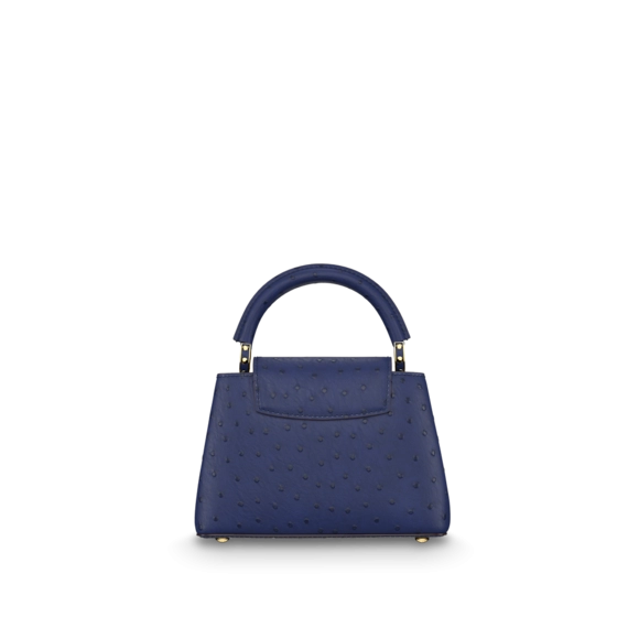 Louis Vuitton Capucines Mini