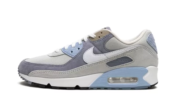 Air Max 90 - Ashen Slate