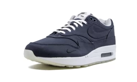 Air Max 1 - DSM Brave Blue